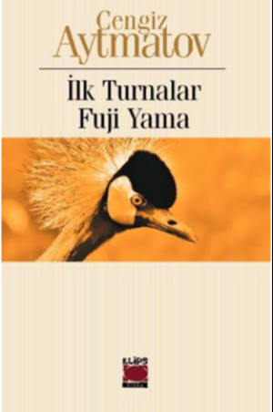 İlk Turnalar - Fuji Yama