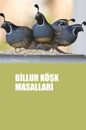 Billur Köşk Masalları